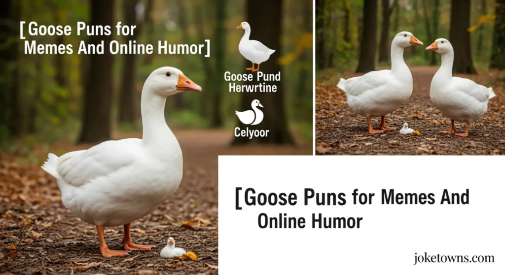 Goose Puns for Memes