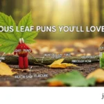 Hilarious Leaf Puns You’ll Love