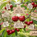 Best Cute Cherry Puns for 2026